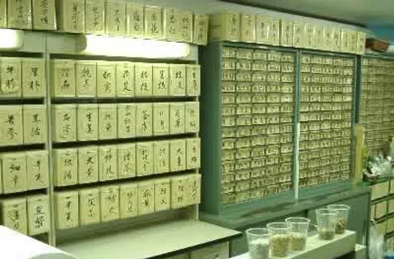 鹿児島市で漢方薬の処方 漢方相談なら 市民漢方調剤薬局