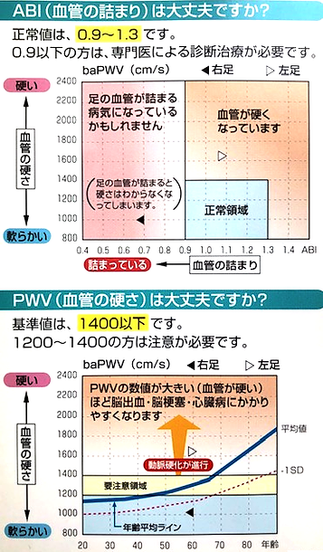 動脈硬化検査_2
