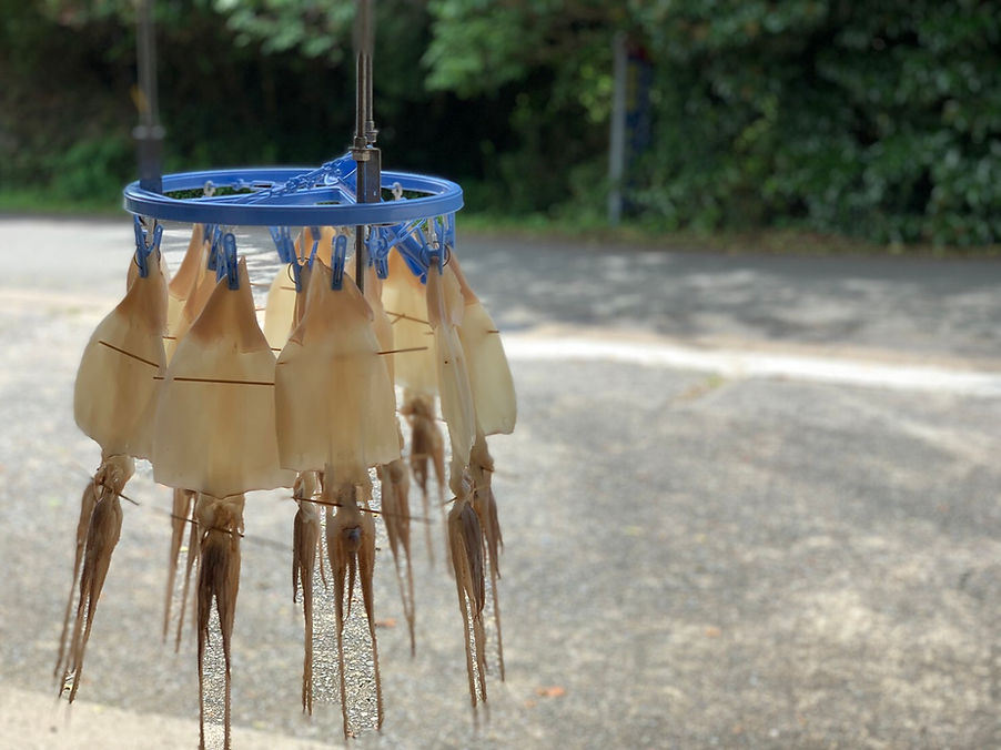 ドライブイン笠山　イカ