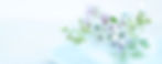 604269_l.jpg