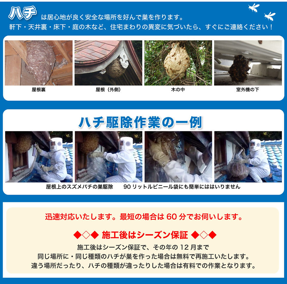 ハチ駆除