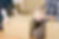 AdobeStock_35730518.jpeg