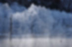雪景色