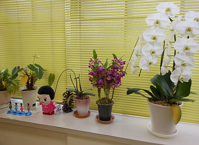 DSCN0335.JPG