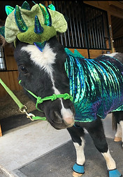 Leonardo dressed up in his dinosaur outfit