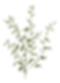 名称未設定のアートワーク 135_edited.png