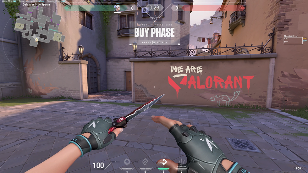 We are valorant mockup