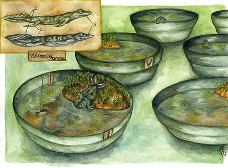 watercolour of a mesocosm experiment with an extinct species