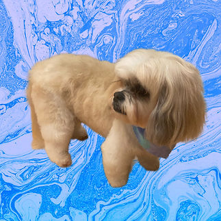 25C3F36C-BC9D-499C-8AC4-6A48C3B3D06D.JPEG