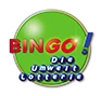 BINGO-Logo.webp