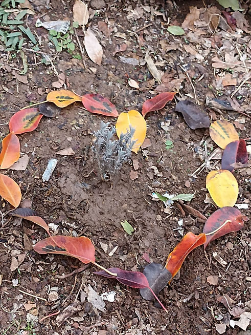 WhatsApp Image 2022-11-29 at 17.35.21.jpeg