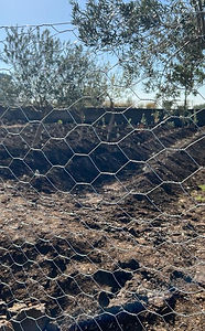 WhatsApp Image 2022-11-28 at 15.10.27.jpeg