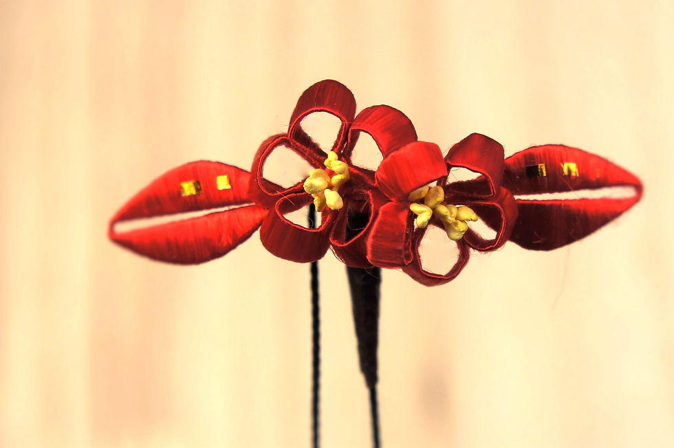 Plum flower ​梅花