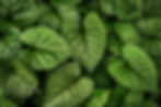 AdobeStock_409337716.jpeg