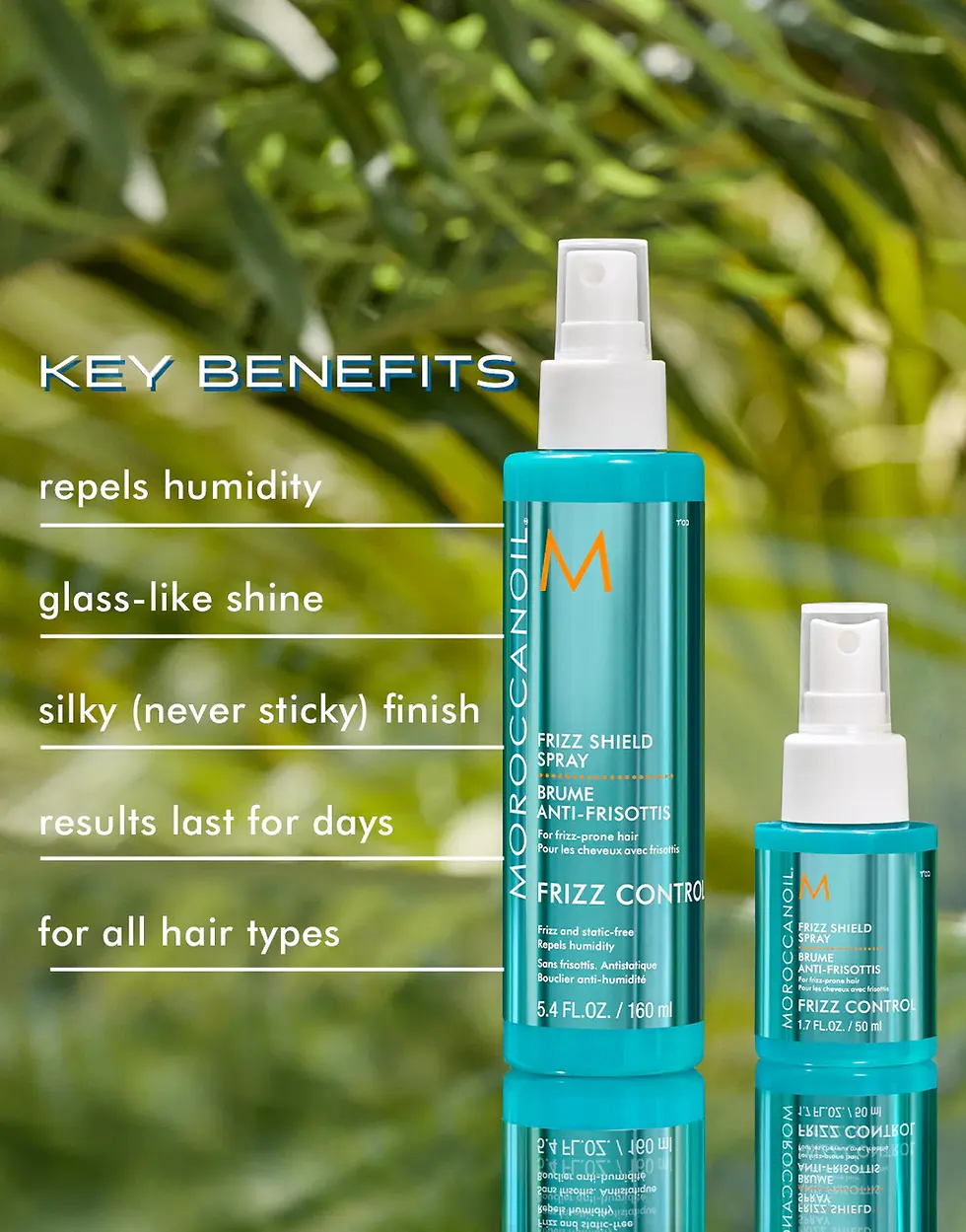 Thumbnail: Frizz shield spray