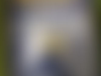 雑誌:Newsweek 2025 9•16/23号