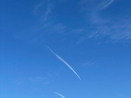 独り言：治りますように