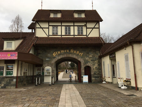 独り言:ワールドカップ、すごかった