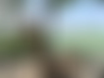 独り言:トレンド経済学もおすすめ