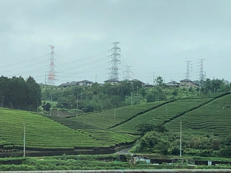 独り言:分析力が必要