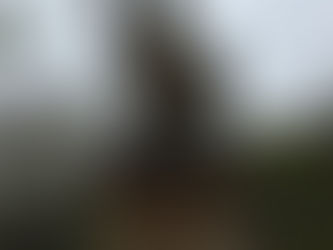 独り言:パソコンの背景色