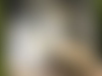 雑誌:週刊ダイヤモンド 2025.9/27・10/4合併号