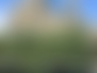 独り言:咄嗟に動けないもの