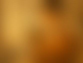 独り言:同じ本でも、読むたびに新しい発見がある——図書館通いから得た気づき