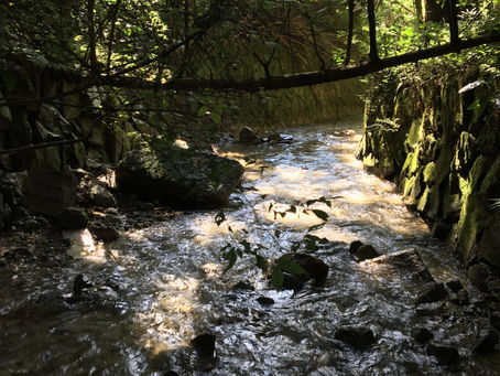 独り言:Magic Mouseが動かなくなった時