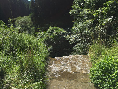 独り言:明日の予定