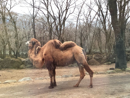 独り言:睡眠時間を確保してみる