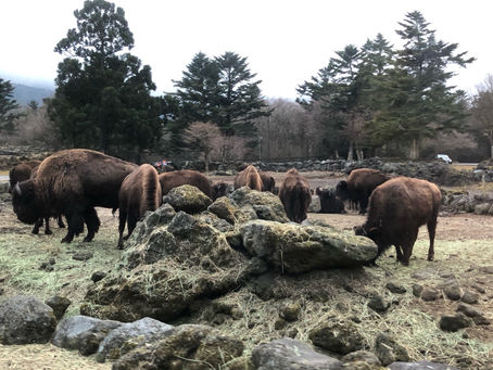 独り言:流れを自分のものに!