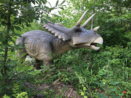 独り言:感覚の違いを受け入れる