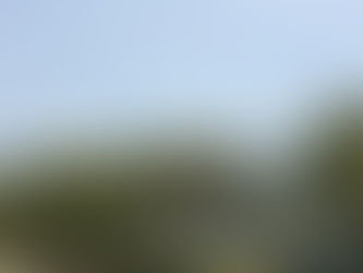 独り言:バランスを保たせているもの