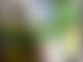 雑誌:週刊ダイヤモンド 2025.10/11・10/18合併号