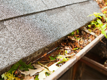 Handyman checking gutters during spring home maintenance in Broome County, NY