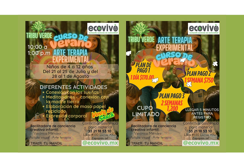 Curso de verano