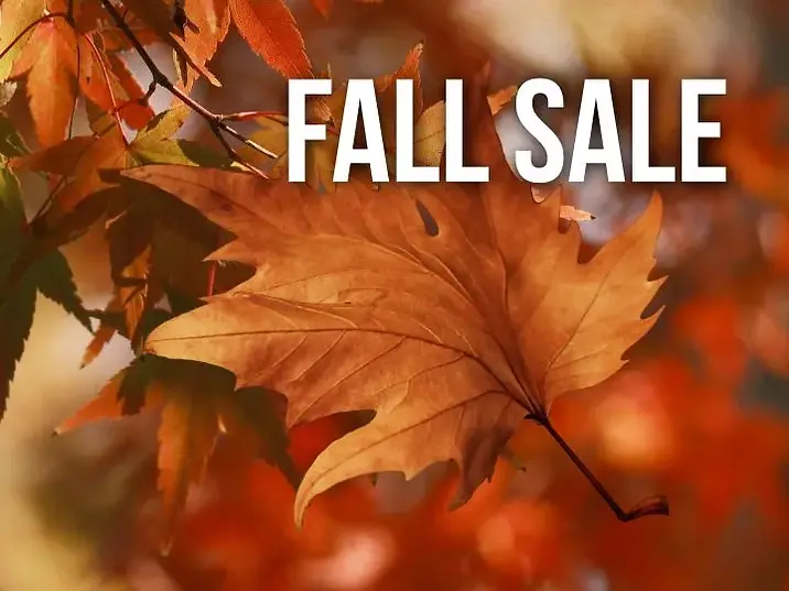 Massive Autumn Sale
