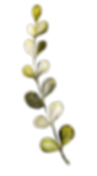 w1 (57).png