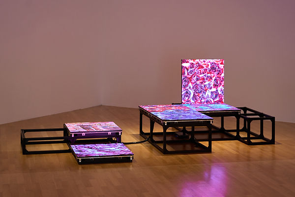 Kopie von 2026_02_MAK_AI_HFG_JD_03039.jpg