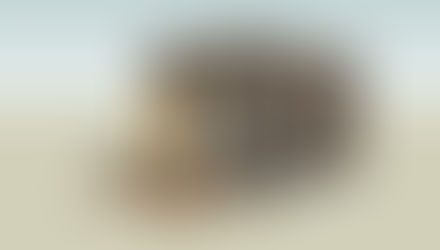 Módulos Habitacionales Transportables