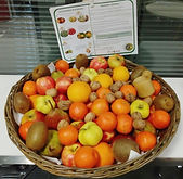 4 corbeille hiver 2019.jpg