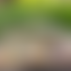 Nepali Cuisine: The Ancient Wisdom Behind a Healthy Diet