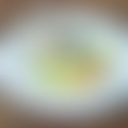 Bhakka Diwas Celebrated Honouring a Terai Heritage Dish and Its Torchbearers