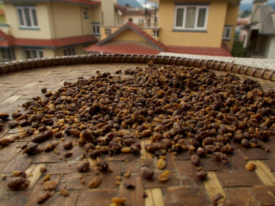 Kinema, a fermented soybeans