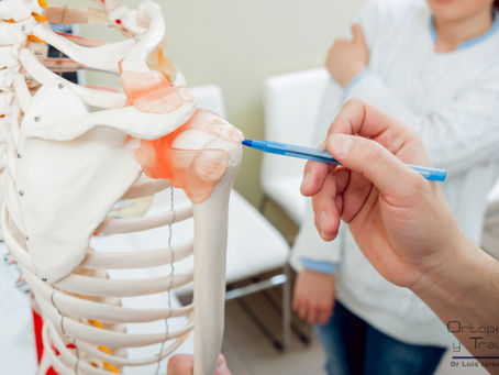 Cómo funciona nuestro cuerpo en el movimiento?