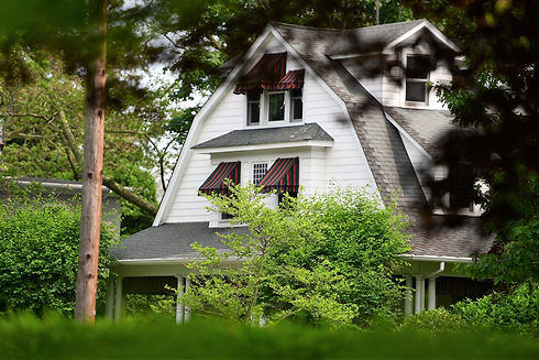 house behind trees.jpeg