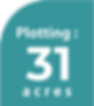 31