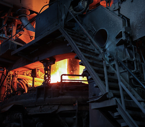 plant-226.jpg