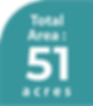 51